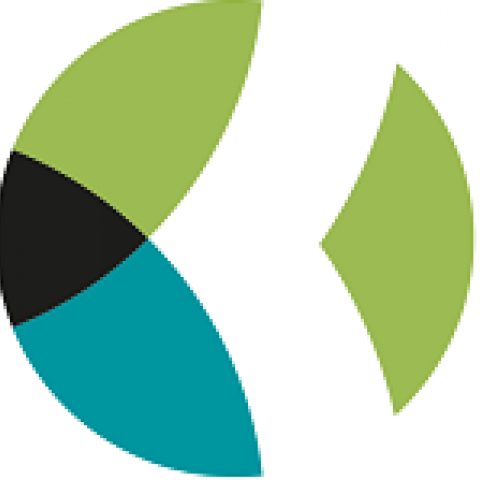 Kaarean logo uutissivulle